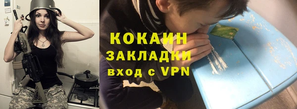 СК Гатчина