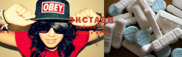 стафф Надым