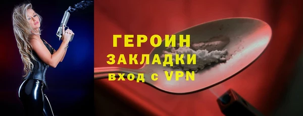 СК Гатчина