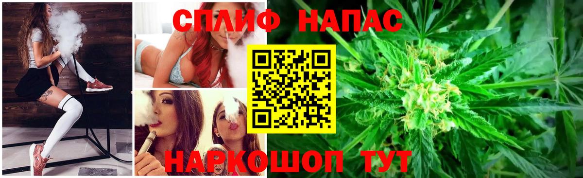 Бошки Шишки планчик Саки